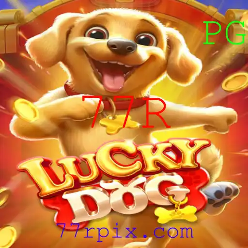 Descobrindo LuckyDog: Um Mergulho nas Regras e Estrutura do Jogo